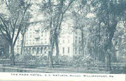 The Park Hotel Williams, PA Postcard Postcard
