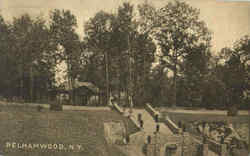 Pelhamwood Postcard