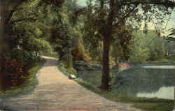 Scene In Vale Cemetery Postcard
