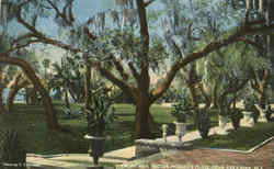 View At Mrs. Potter Palmer's Place Postcard