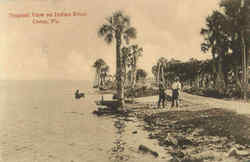 Tropical View On Indian River Postcard