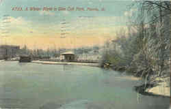 A Winter Night In Glen Oak Park Peoria, IL Postcard Postcard