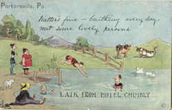 Laik From Hotel Chimbly Portersville, PA Postcard Postcard