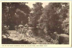 One Of The Many Charming Views In Island Park Ann Arbor, MI Postcard Postcard