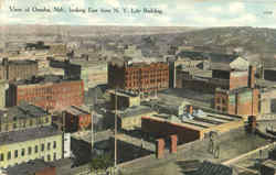 View Of Omaha Postcard