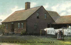 Birth Place Of Horace Greeley Postcard