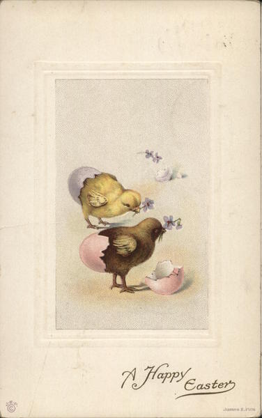 Two Chicks Hatching, With Flowers With Chicks