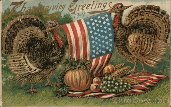 Turkeys Holding an American Flag Patriotic