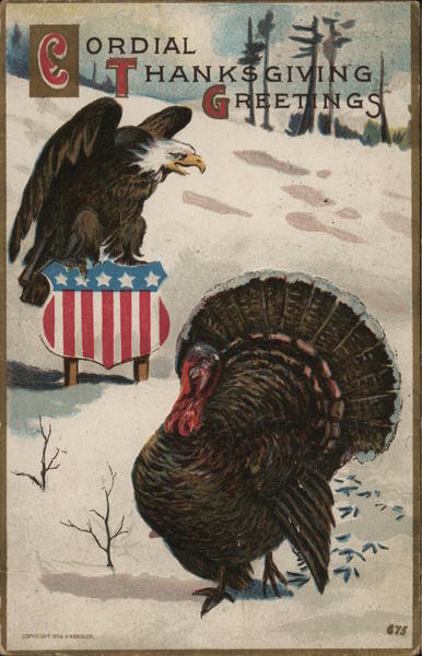 Bald Eagle and Turkey Patriotic