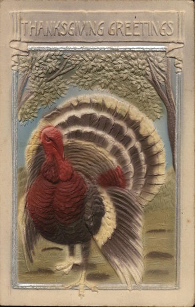 Thanksgiving Greetings - Turkey Turkeys