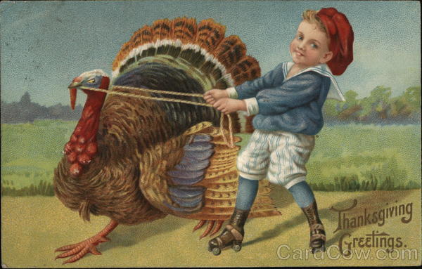 Boy on Roller Skates Pulled by Turkey Children