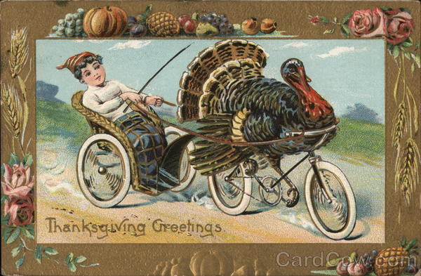 Harness Racing Turkey Children