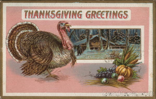 Thanksgiving Greetings Postcard