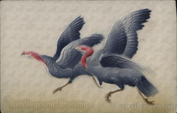 Thanksgiving Greetings Turkeys