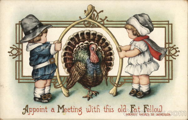 Appoint a Meeting with this old Fat Fellow Turkeys