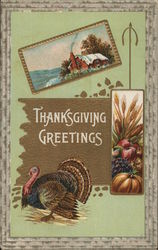 Turkey, Cabin, Harvest Scene Postcard