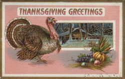 Thanksgiving Greetings Postcard Postcard Postcard