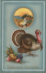 Thanksgiving Greetings Turkeys Postcard Postcard Postcard