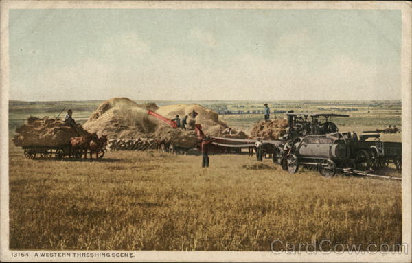 A Western Threshing Scene - Steam Tractors Farming