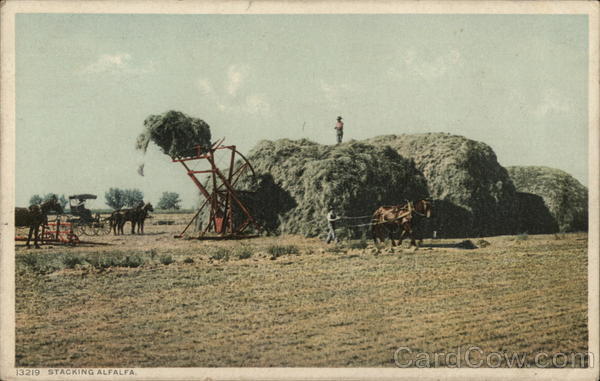 Stacking Alfalfa Farming