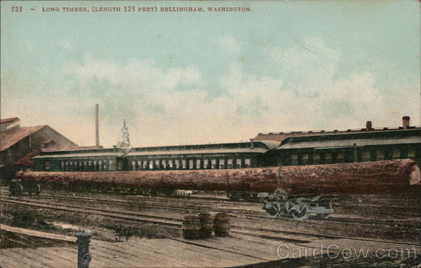 Long Timber, (Length 125 Feet) Bellingham Washington