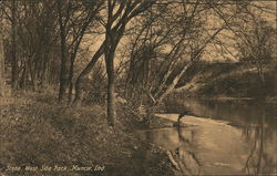 West Side Park Postcard