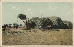 Stacking Alfalfa Farming Postcard Postcard Postcard