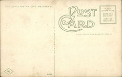 back