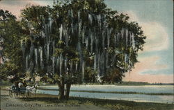 Lake Stella Boulevard Postcard