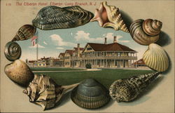 The Elberon Hotel New Jersey Postcard Postcard Postcard