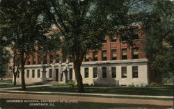 Commerce Building, University of Illinois Champaign, IL Postcard Postcard Postcard