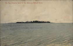 The Bay, Charles Island in the Distance Milford, CT Postcard Postcard Postcard