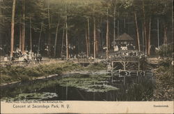 Concert Sacandaga Park, NY Postcard Postcard Postcard