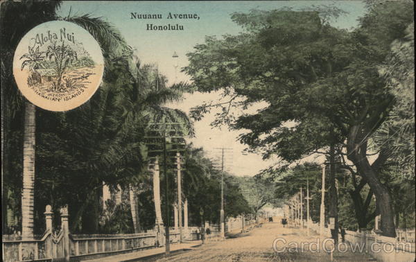 Nuuanu Avenue - Aloha Nui Honolulu Hawaii