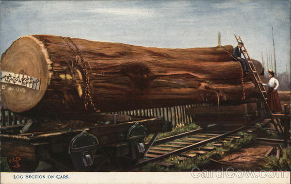 Log Section on Railroad Cars Logging