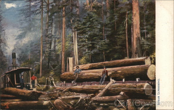 Steam Lumbering Logging