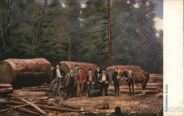 Lumbering Scene Logging