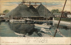 A Pile of Oyster Shells Postcard