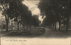 The Common Postcard