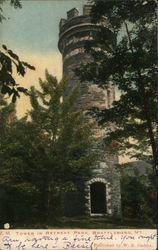 Tower in Retreat Park Postcard
