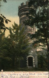 Tower in Retreat Park Brattleboro, VT Postcard Postcard Postcard