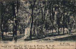 Talcott Park Postcard