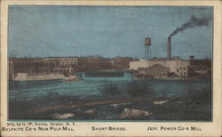 Views of Dexter Postcard