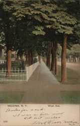 West Ave. Postcard