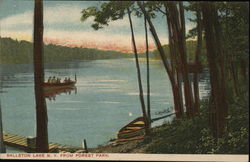 Ballston Lake From Forest Park New York Postcard Postcard Postcard
