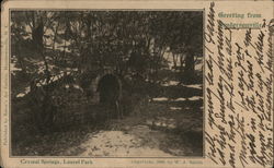 Crystal Springs, Laurel Park Postcard