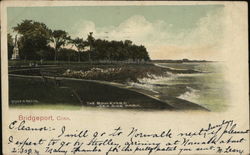 The Boulevard, Sea Side Park Bridgeport, CT Postcard Postcard Postcard