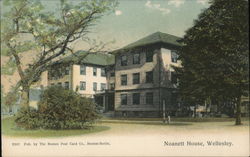 Noanett House Postcard