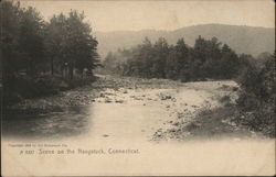 Scene on the Naugatuck River Postcard
