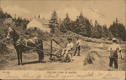 Haying Time In Maine Postcard